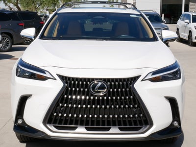 2025 Lexus NX 350h Premium