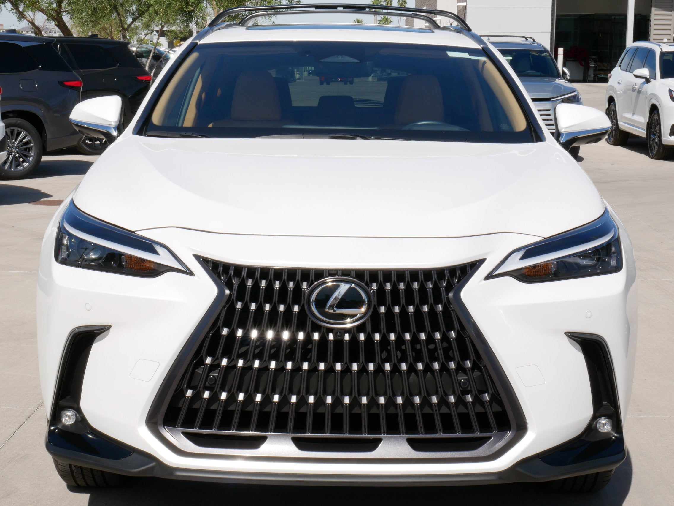 2025 Lexus NX 350h Premium