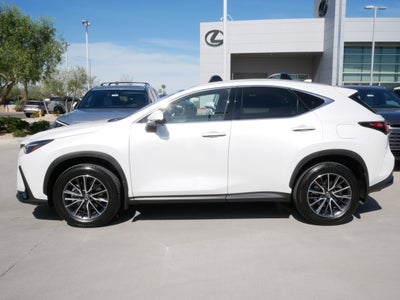2025 Lexus NX 350h Premium