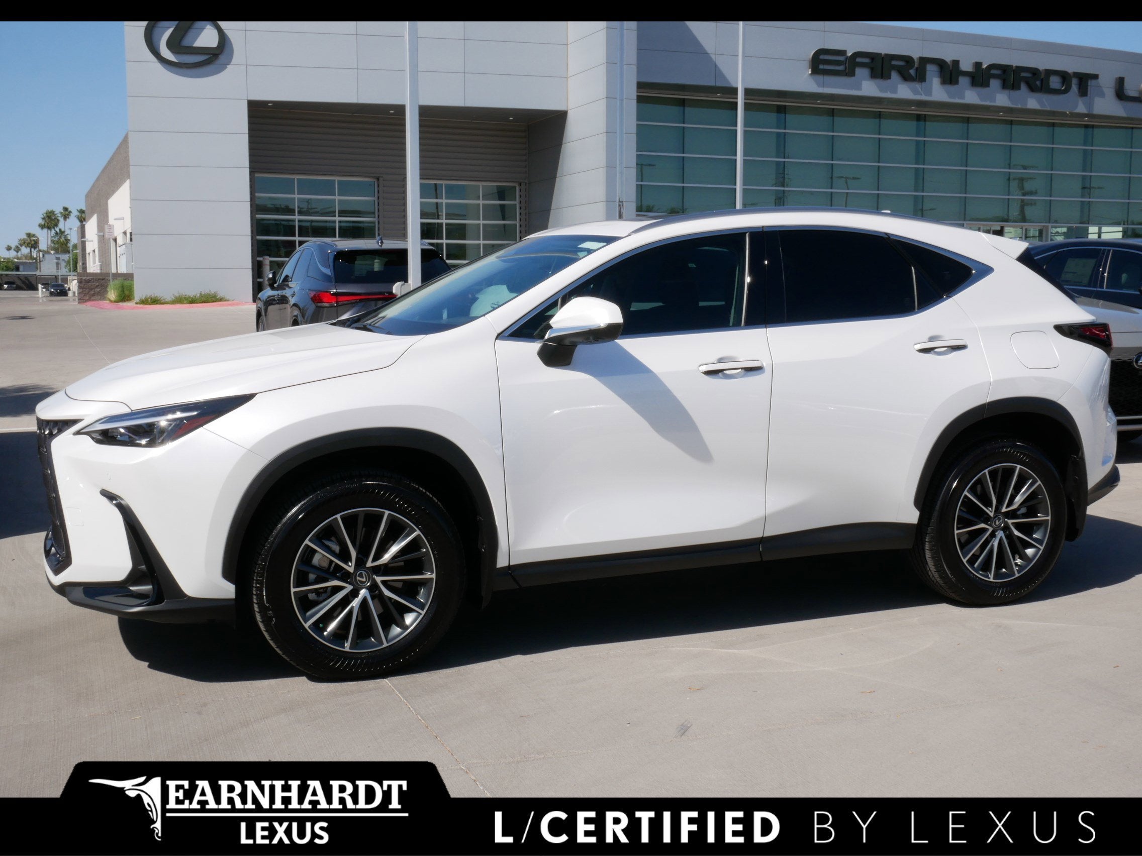 2025 Lexus NX 350h Premium