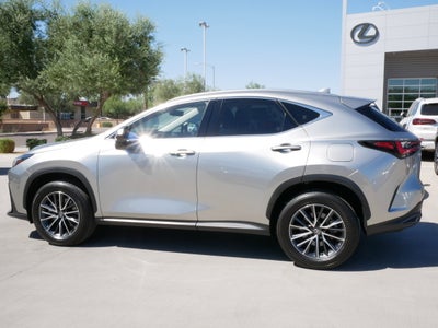 2025 Lexus NX 350h PREMIUM