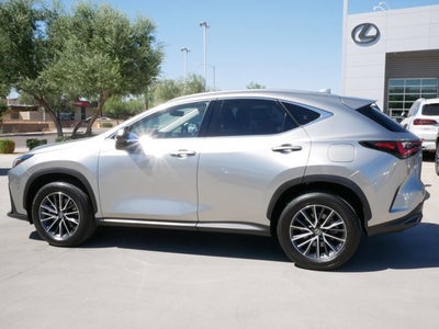 2025 Lexus NX 350h PREMIUM