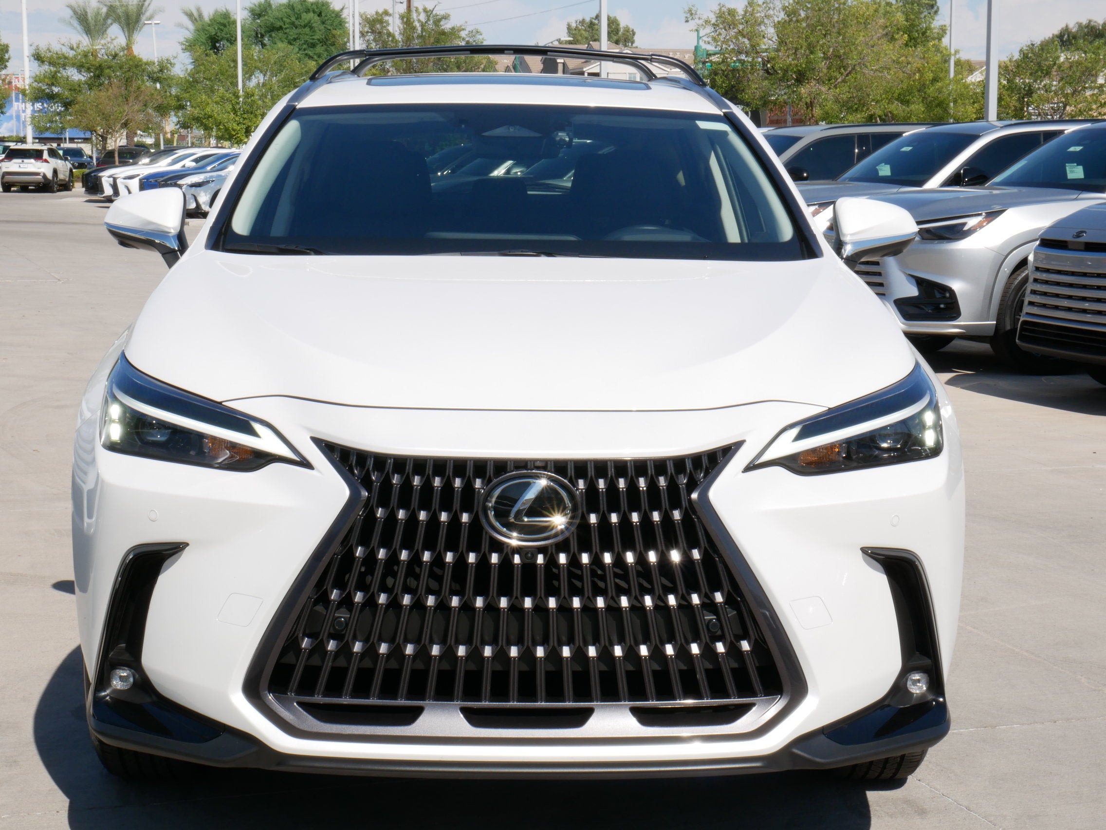 2025 Lexus NX 350h PREMIUM