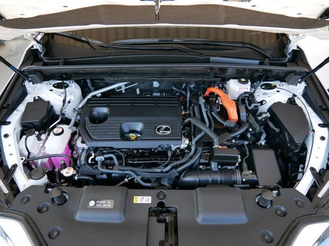 2025 Lexus NX 350h PREMIUM