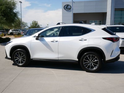 2025 Lexus NX 350h PREMIUM