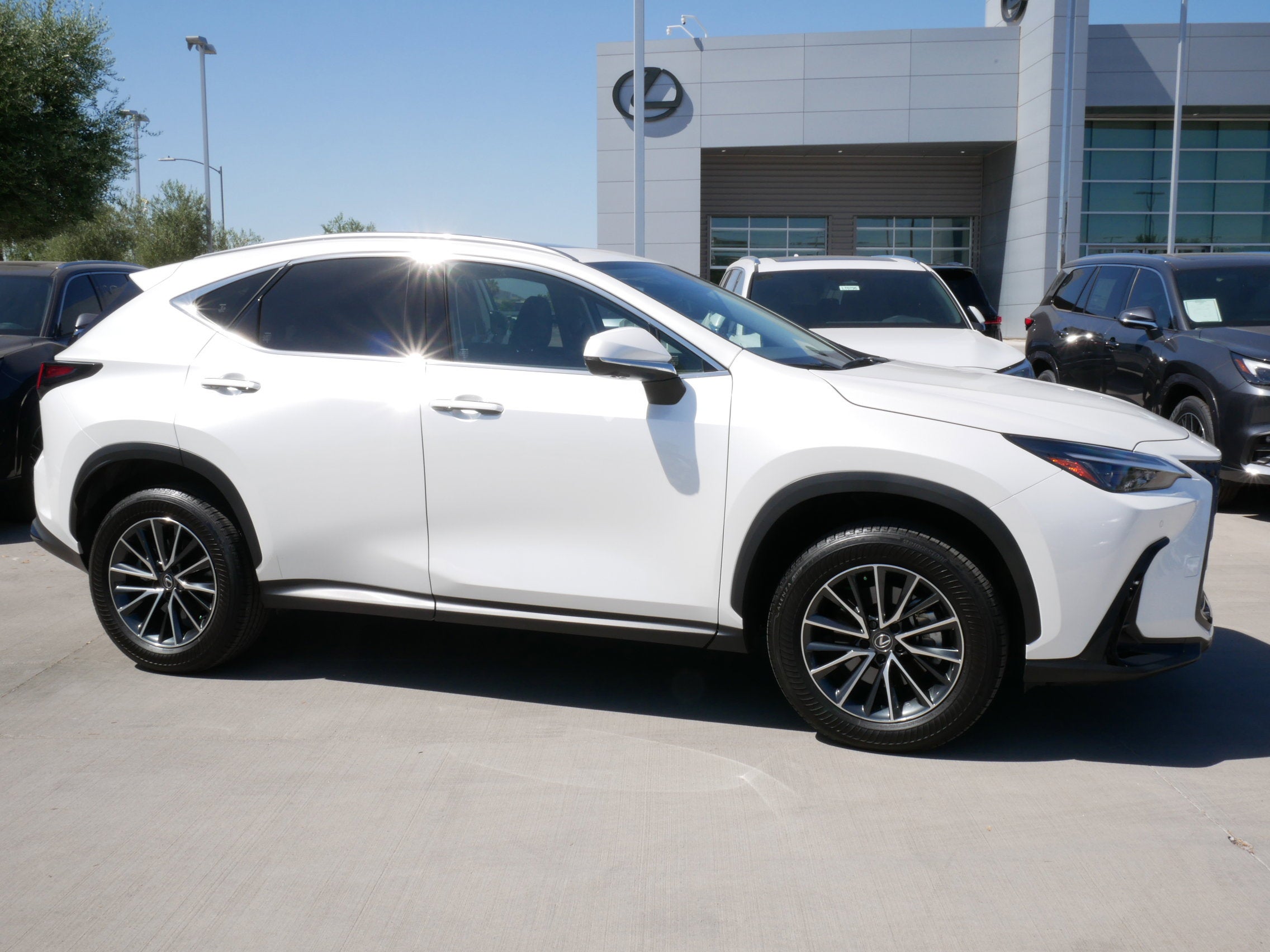 2025 Lexus NX 350h PREMIUM