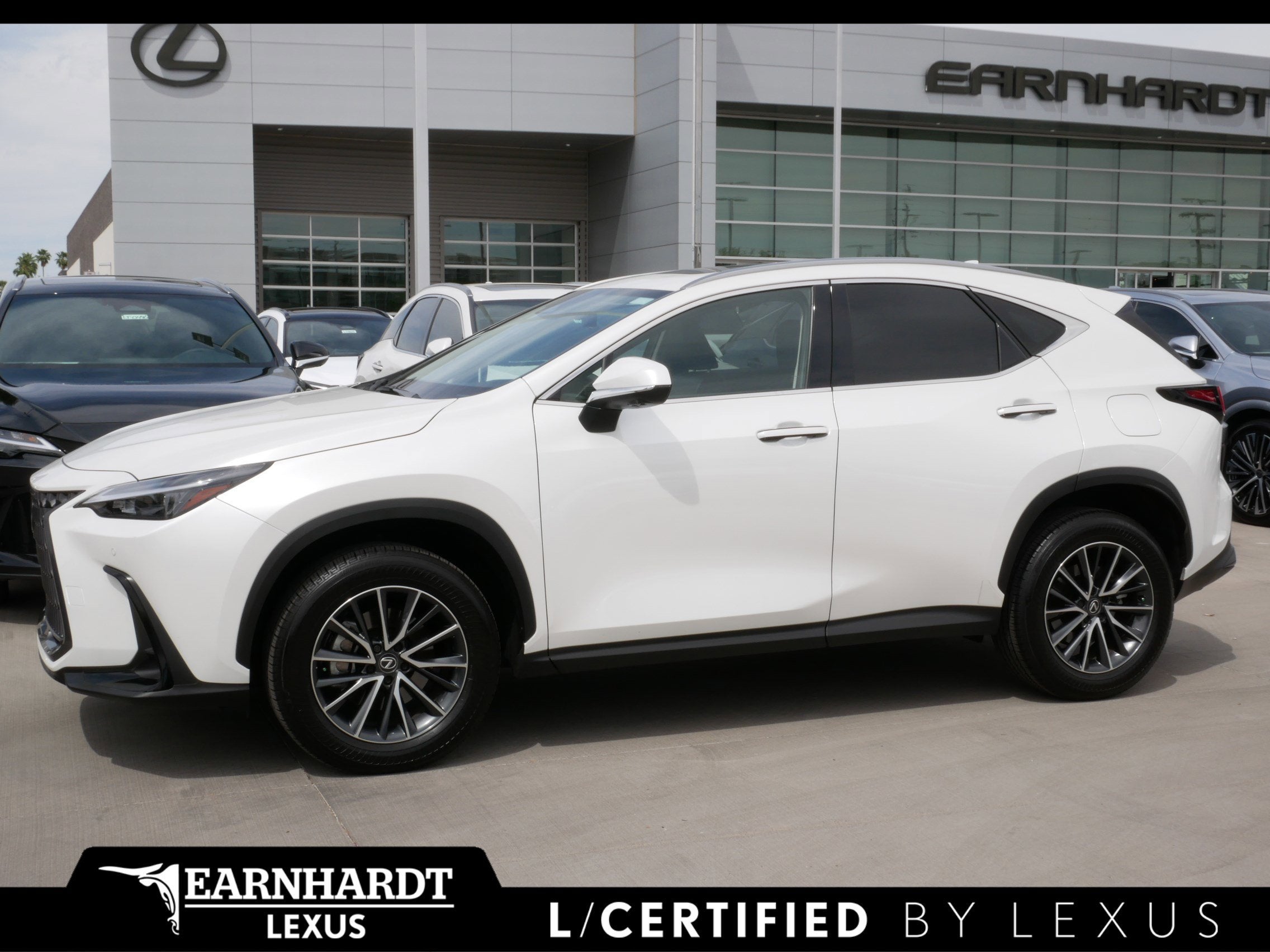2025 Lexus NX 350h Premium