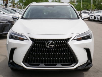 2025 Lexus NX 350h AWD