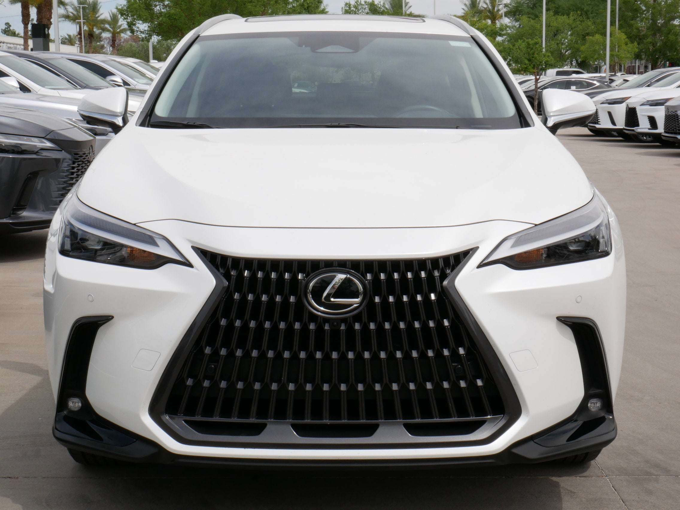 2025 Lexus NX 350h AWD