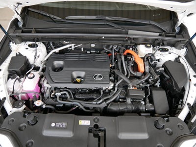 2025 Lexus NX 350h AWD