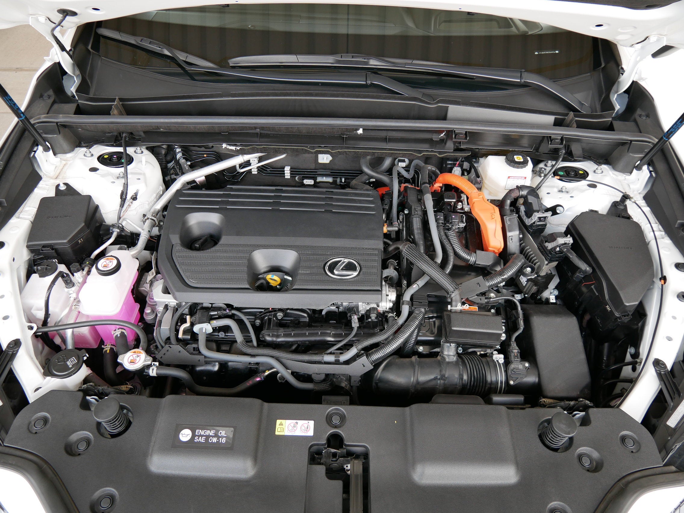 2025 Lexus NX 350h AWD