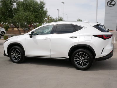 2025 Lexus NX 350h AWD