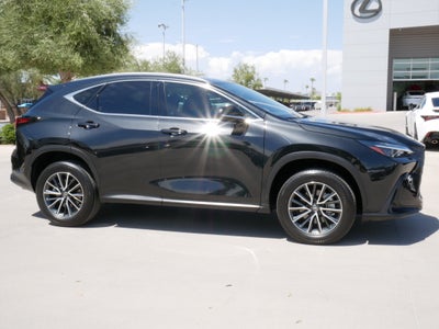 2024 Lexus NX 350h Premium