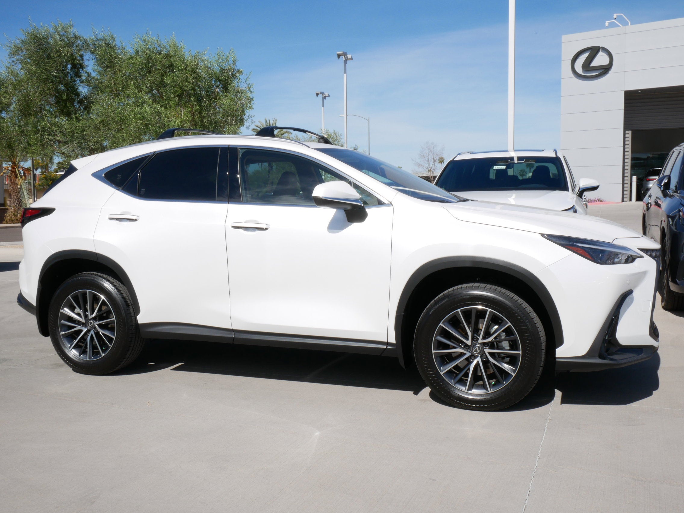 2025 Lexus NX 350h PREMIUM