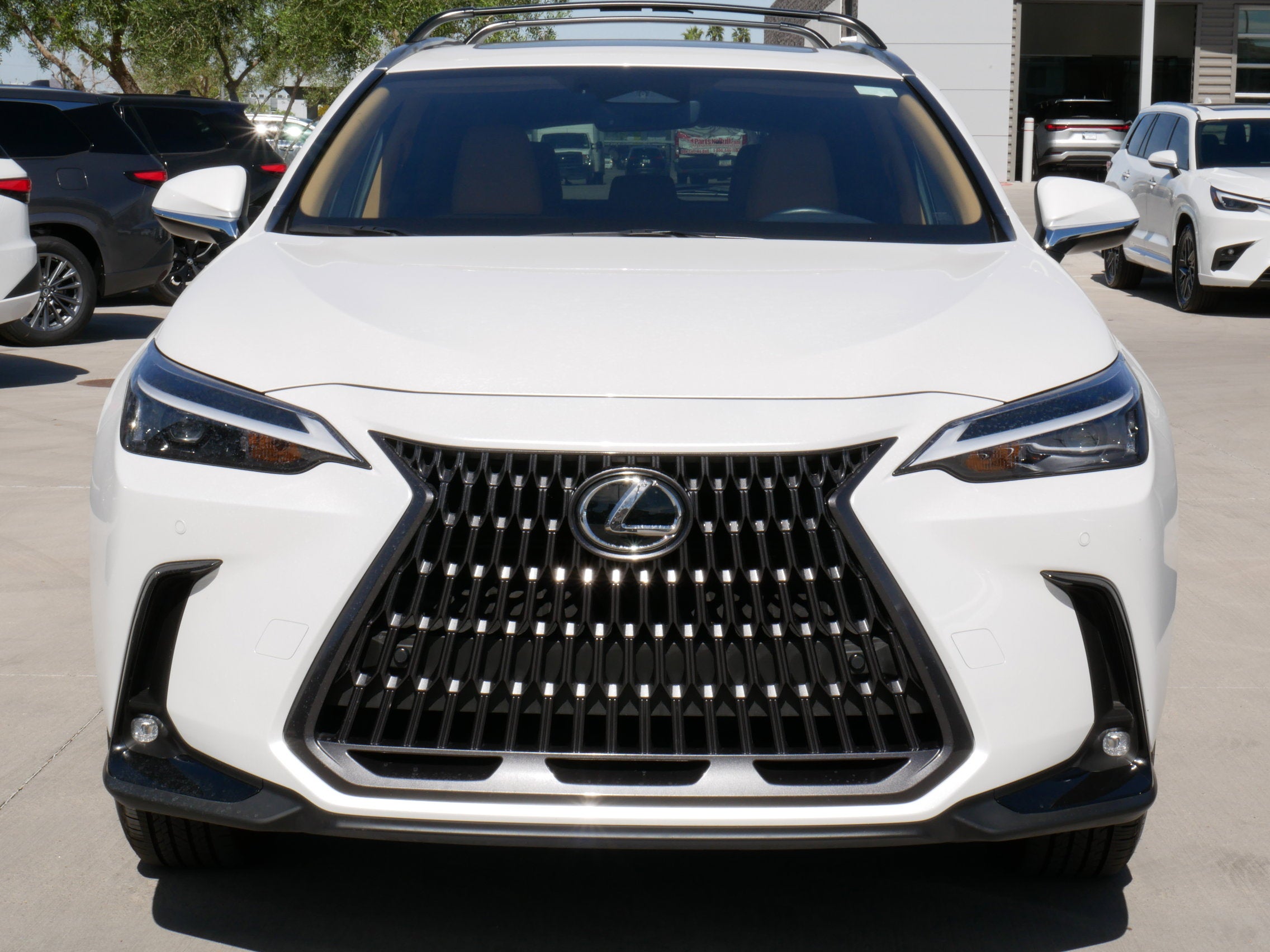 2025 Lexus NX 350h PREMIUM
