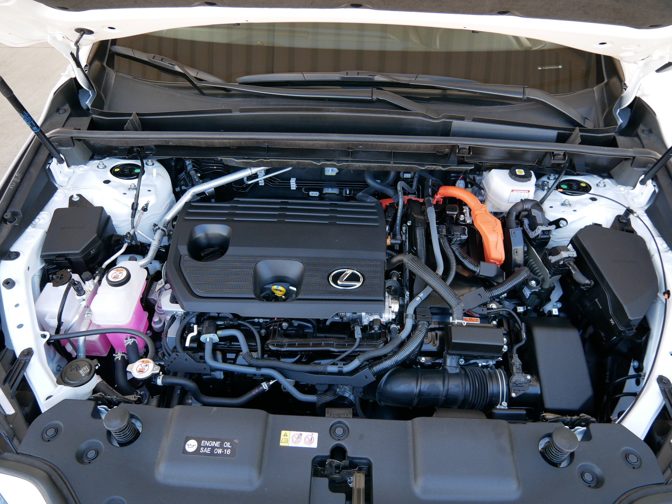 2025 Lexus NX 350h PREMIUM