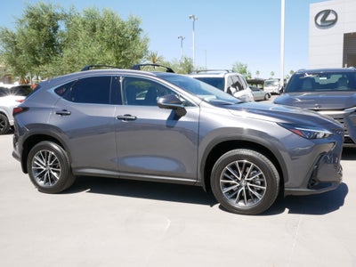 2025 Lexus NX 350h PREMIUM