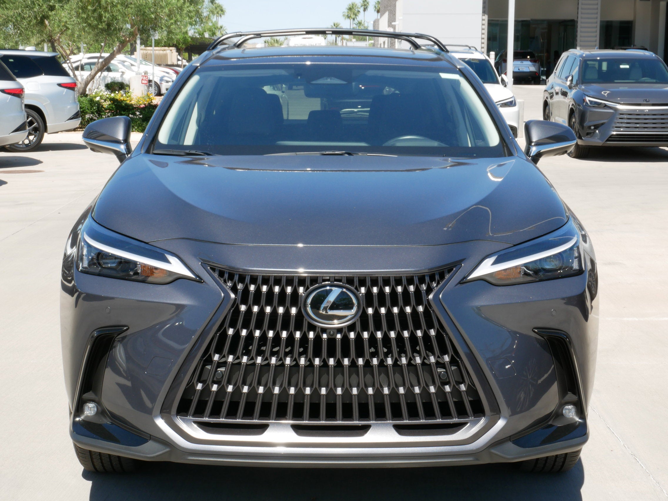 2025 Lexus NX 350h PREMIUM