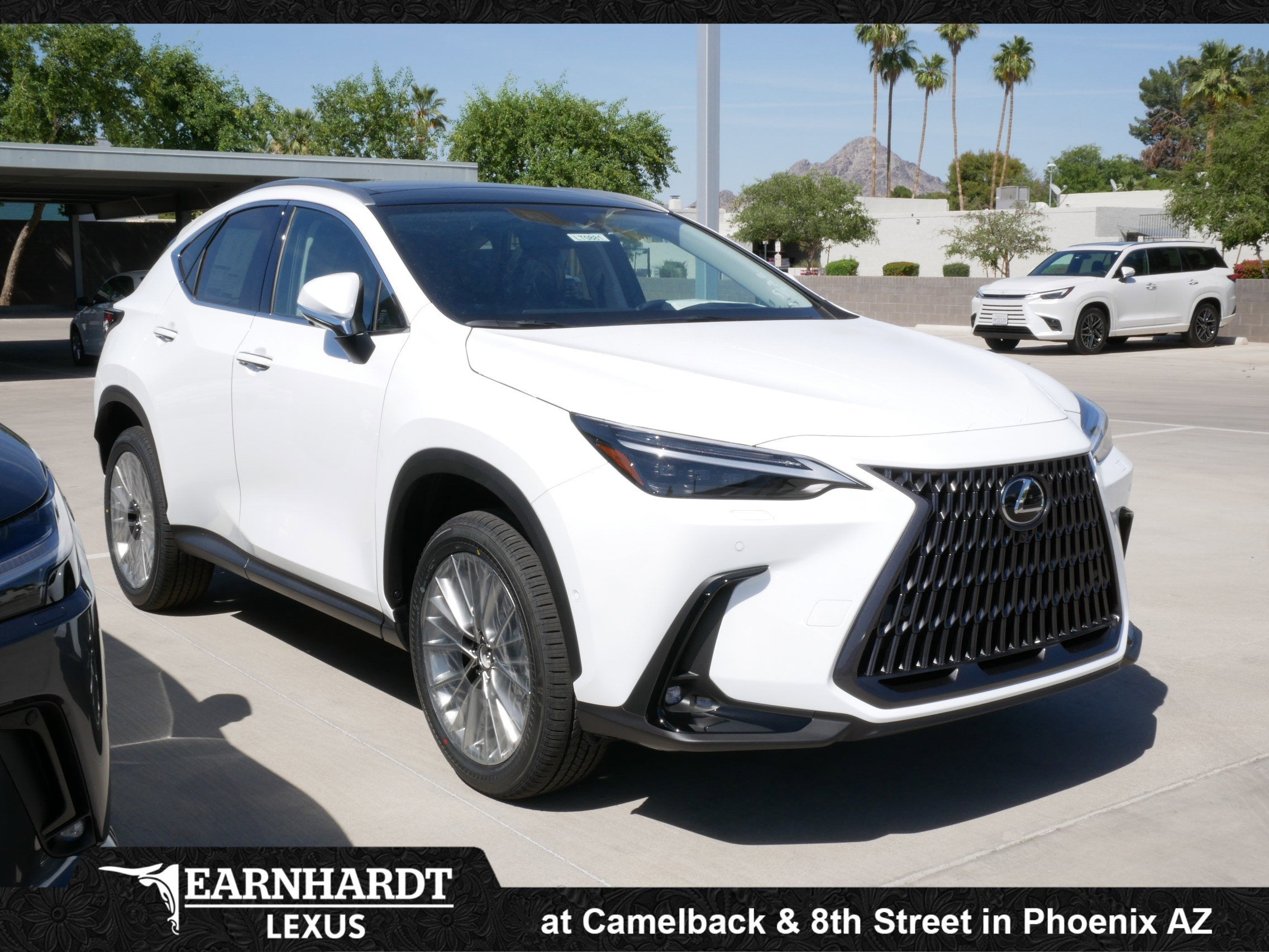 2026 Lexus NX 350h LUXURY AWD