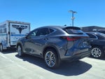 2024 Lexus NX 350h Luxury