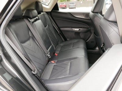 2023 Lexus NX 450h+ Luxury