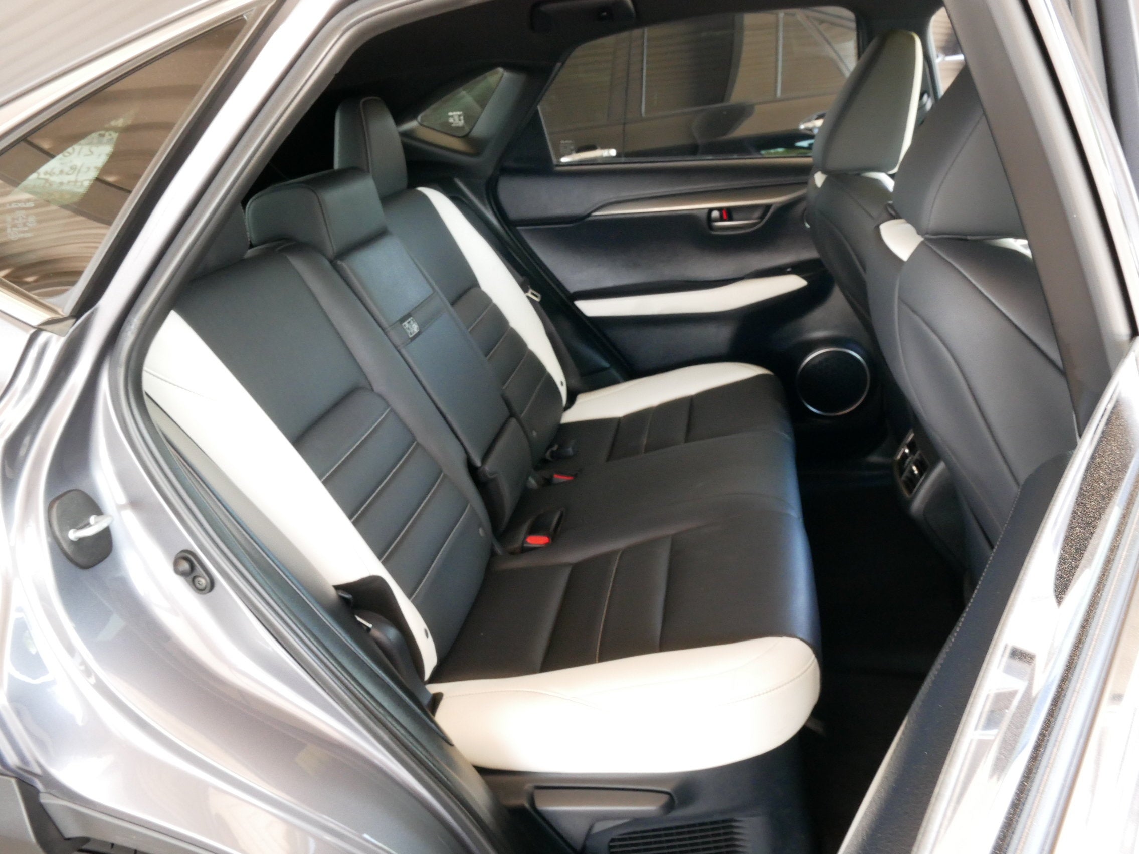 2020 Lexus NX 300 F SPORT