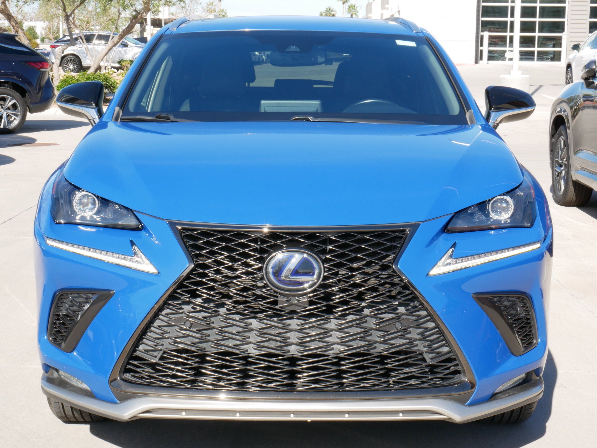 2021 Lexus NX 300h F SPORT Black Line