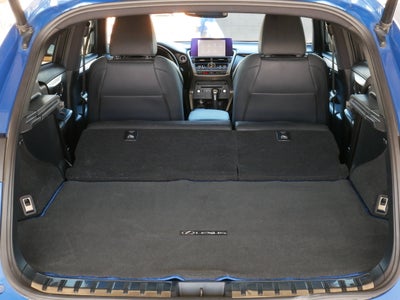 2021 Lexus NX 300h F SPORT Black Line