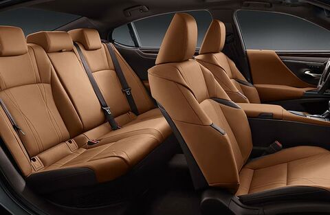 2020 Lexus ES Car Sit