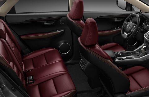 2019 Lexus NX Interior