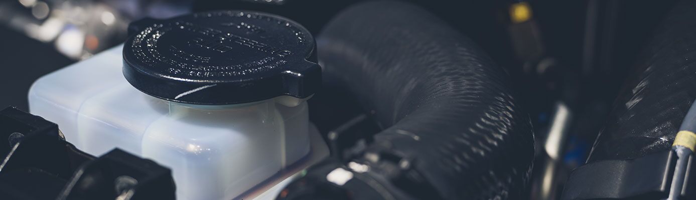 Earnhardt Lexus in Phoenix AZ